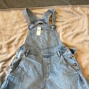 Aerie Overalls